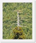 001w (78) * 1008 x 1264 * (270KB)